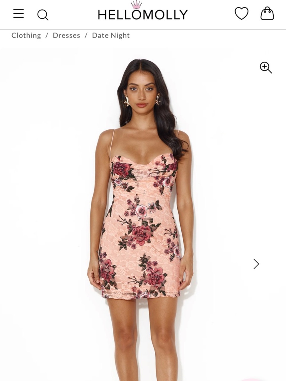 Hello Molly Blush Pink Rose Lace Mini Dress